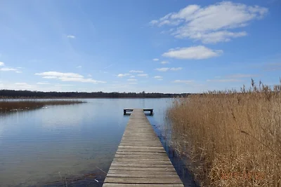 Bungalow direttamente sul lago balneabile e di pesca