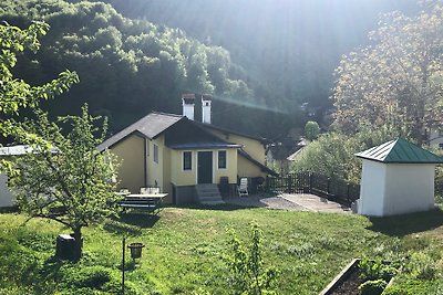 Kuća za odmor Dopust za oporavak Ebensee am Traunsee