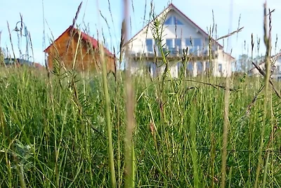 Vilzseehaus - direttamente sul lago