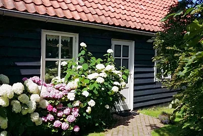 Zonnehoek 2