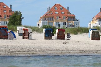 Ferienwohnung Seemöwe