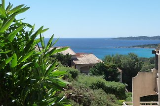 Lavandel in Sainte Maxime