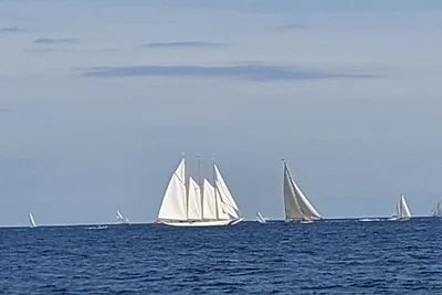 Sainte-Maxime: Chêne-Liège