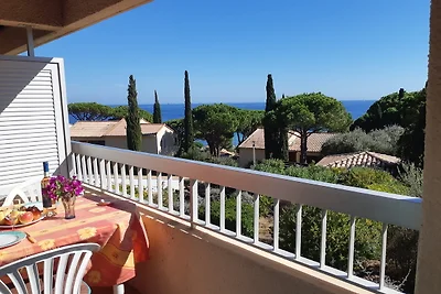 Sainte-Maxime: Chêne-Liège