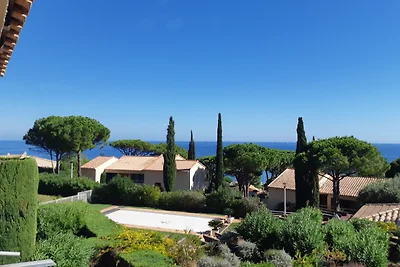 Sainte-Maxime: Chêne-Liège
