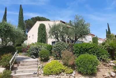 Sainte-Maxime: Chêne-Liège