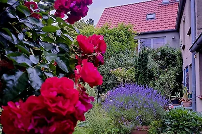 Haus an der Stadtmauer