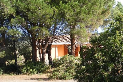 La Pineta