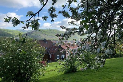 Vakantieappartement Gezinsvakantie Bad Lauterberg im Harz