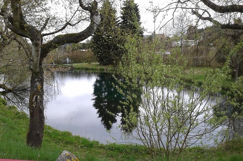 petit étang près de la maison finlandaise d'Eifeler