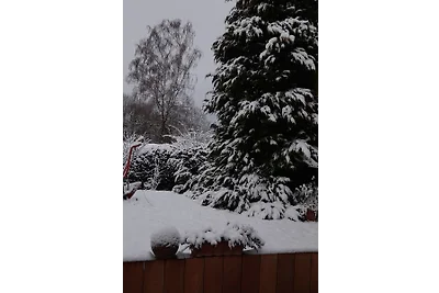 NR- FeWo Sonnenblume mit Sauna