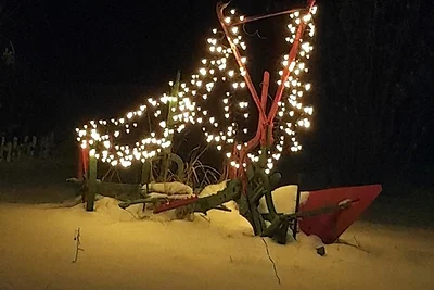 NR- FeWo Sonnenblume mit Sauna