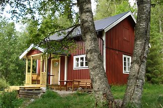 Letafors