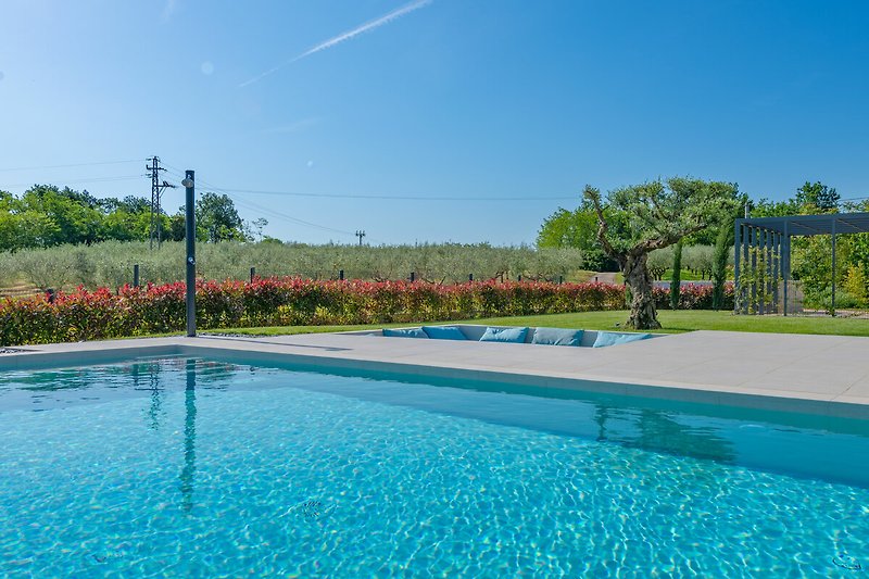 Der Pool bietet einen Blick auf ein Olivenbaumfeld