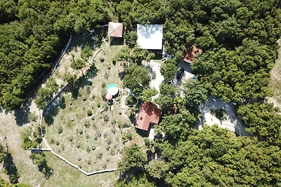 Villa Vita