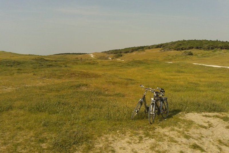 Die Dünen laden zum Radfahren ein