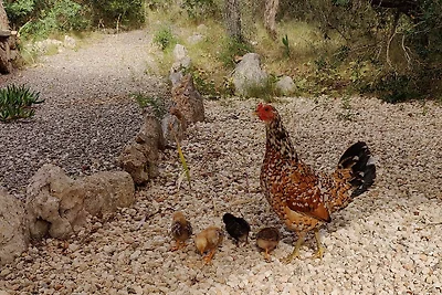 Villa Ses Sivines