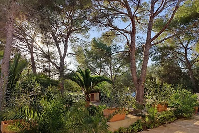 Villa Ses Sivines