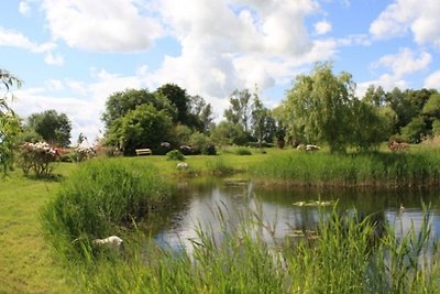 Het mooiste vakantiehuis op Rügen