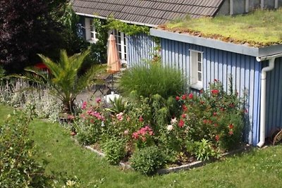 Das schönste Ferienhaus auf Rügen