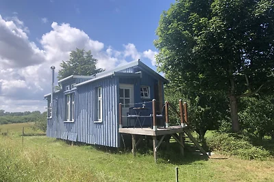 Tinyhouse Rügen