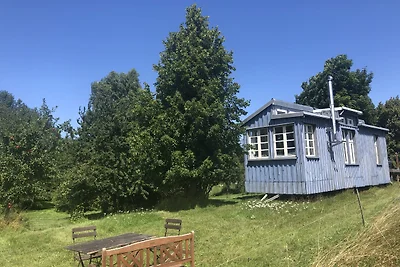 Tinyhouse Rügen
