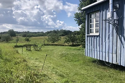 Tinyhouse Rügen