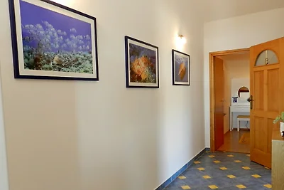 Pula Vinkuran, Jakara Casa