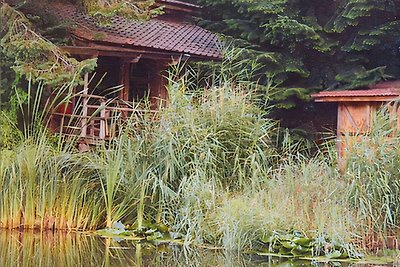 Idyllisches Blockhaus im Hunsrück