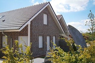 Nele F 4 Sterne DTV