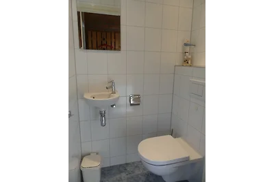 Bungalow nel parco Breezand 2