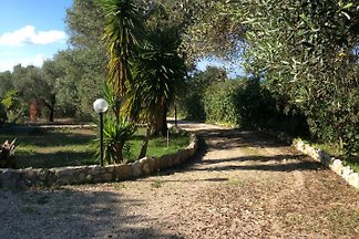 Villa Palma mit Pool und Meerblick