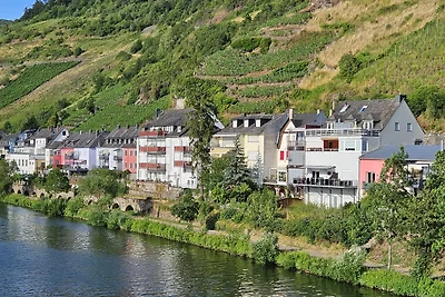 Homebody - Dream location in Zell