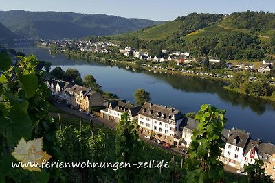 Pension Zell Mosel Gästehaus