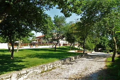 Jakici