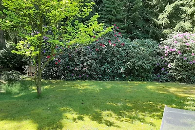 Domek letniskowy Urlop wypoczynkowy Oldendorf