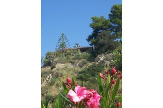 Villa Zappani