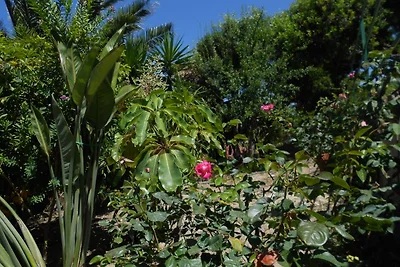 Attico Panoramico Bougainville