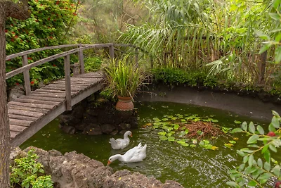 Im ehemaligen botanischen Garten