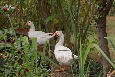 Im ehemaligen botanischen Garten