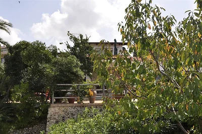 Im ehemaligen botanischen Garten
