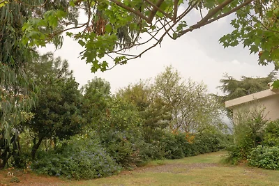 Im ehemaligen botanischen Garten