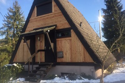 Roof-only House Fichtelgebirge
