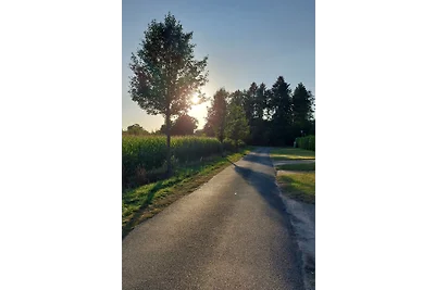 Haus am Wald