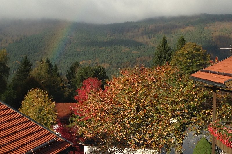 Blick aus Ihrer Ferienwohnung in die Farbenpracht im Herbst.