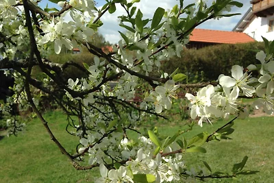Ferienwohnung Dellawalle