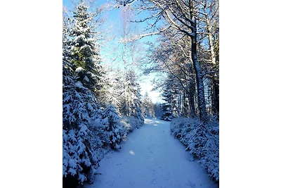 Ferienwohnung  mit Terrasse.