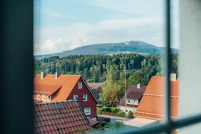 Vakantiehuis Ontspannende vakantie Braunlage