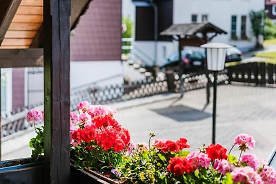 Vakantieappartement Gezinsvakantie Braunlage