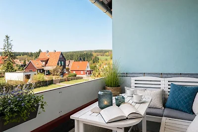 Appartement Vacances avec la famille Braunlage